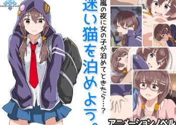 [ナイトホーク]迷い猫を泊めよう