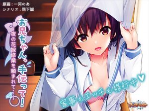 お兄ちゃん、手伝って！～夜の花嫁修業を頼まれて…～ The Motion Anime