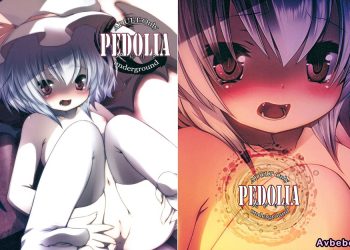 【成人漫畫】[French letter (藤崎ひかり)][ぺどりあ！ underground](東方Project)[戀芙蘭催婚協會會長封獸鵺個人漢化][全彩] [25P]