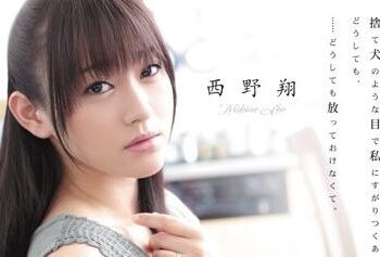 【綜合AV影片-中文AV】RBD-306 老公，請原諒我…。 -被隔壁男人侵犯 4- 西野翔