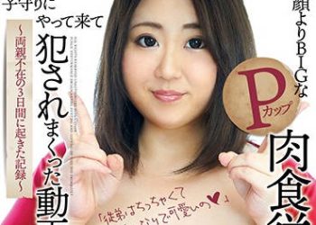 【綜合AV影片-中文AV】KTKC-087 比臉還大的P罩杯肉食表姊為了守護孩子過來被侵犯的動畫 ～雙親不在3日間發生的記錄～