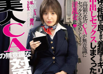 【綜合AV影片-中文AV】DANDY-824 美人空姐無意識坐對面露內褲讓人受不了馬上插入後身體相性好過投直至快着陸持續中出性愛