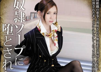 【綜合AV影片-中文AV】RBD-424 在奴隸泡泡浴中墮落的空姐 蘆名由利亞