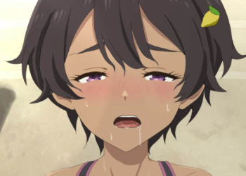 [Akino(あきの屋)] 焼塩檸檬／LemonYakishio