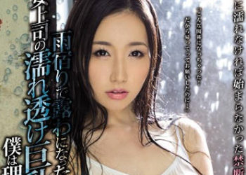 【綜合AV影片-中文AV】PPPD-637 躲雨女上司的濕透巨乳讓我理性全失 佐山愛