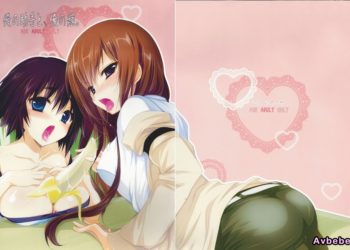 【成人漫畫】[にのこや][にの子][俺の助手と、俺の嫁。](Steins;Gate)[脸肿汉化组] [30P]
