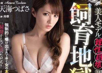 【綜合AV影片-中文AV】RBD-794 調教超正模特兒到理性崩壞地獄 天海翼