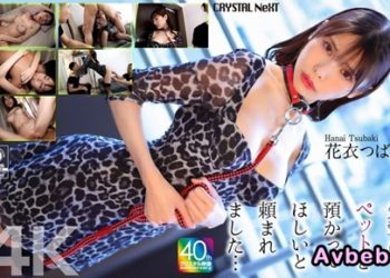 【馬賽克破解】[CRNX-254] 被前輩拜託要幫忙照顧寵物… 花衣椿