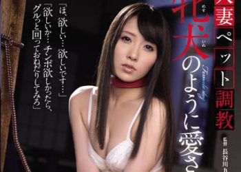 【綜合AV影片-中文AV】RBD-763 調教人妻淫寵 愛得像隻母狗 櫻木凜