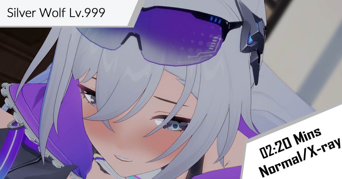 [Aung15] Silver Wolf Lv.999
